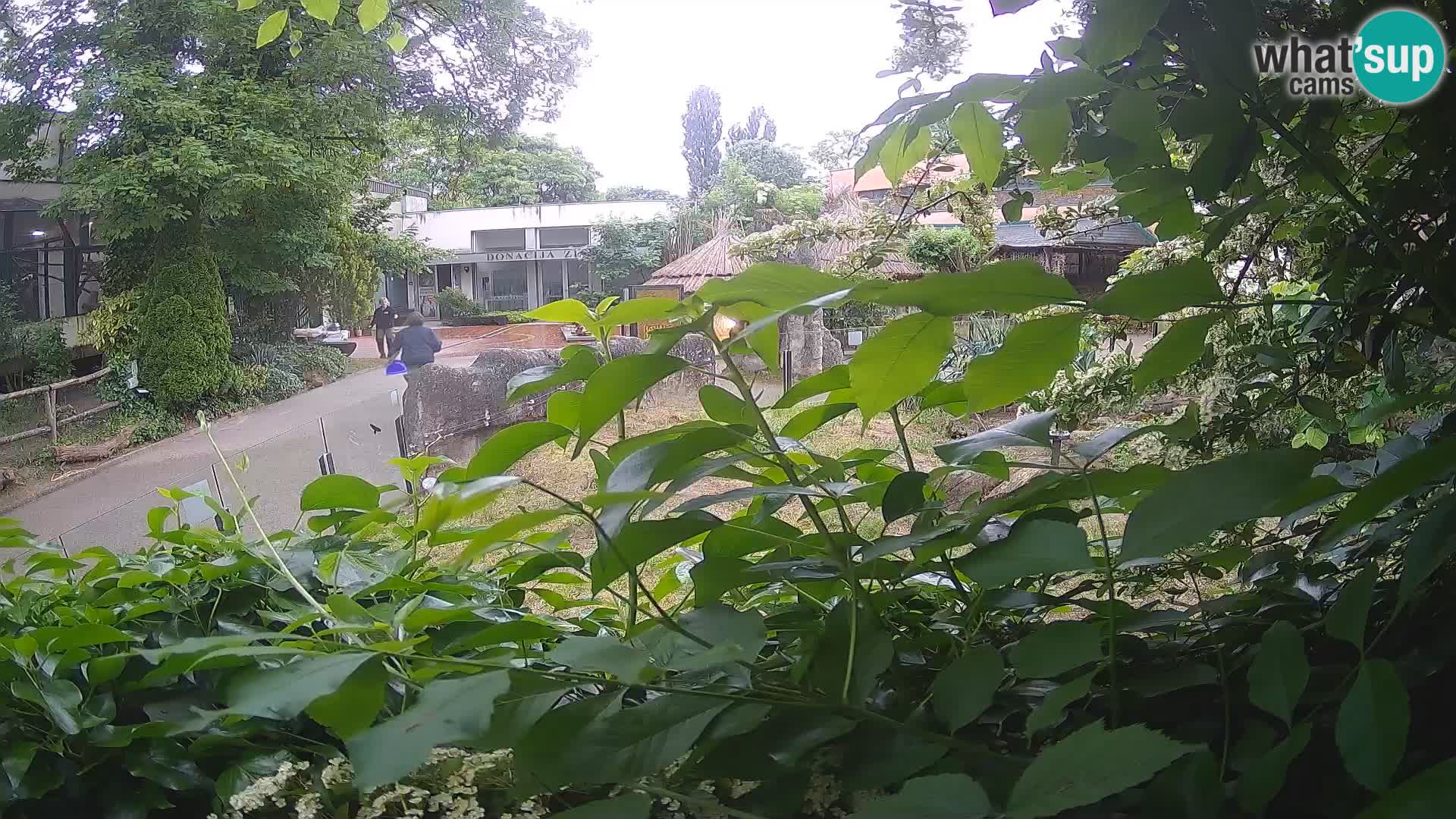 Zoo Zagreb – Erdmännchen