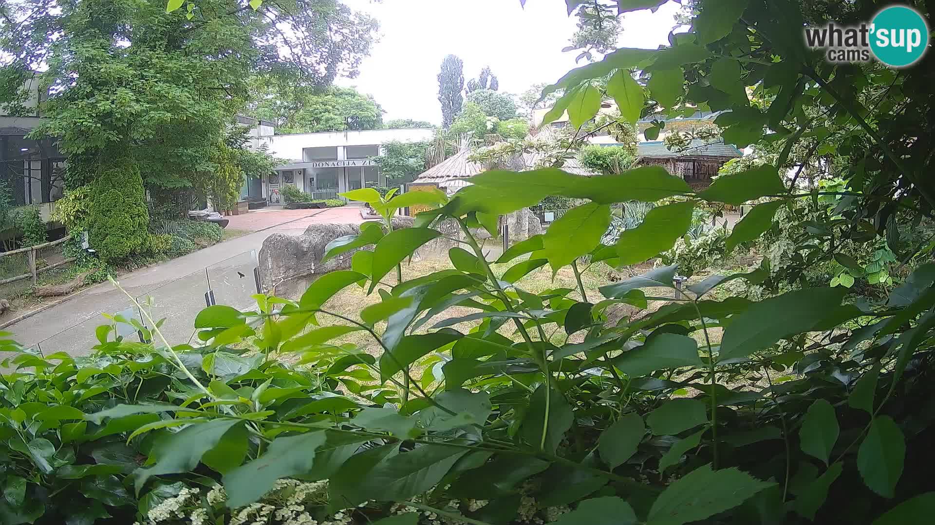Zoo Zagreb – Erdmännchen