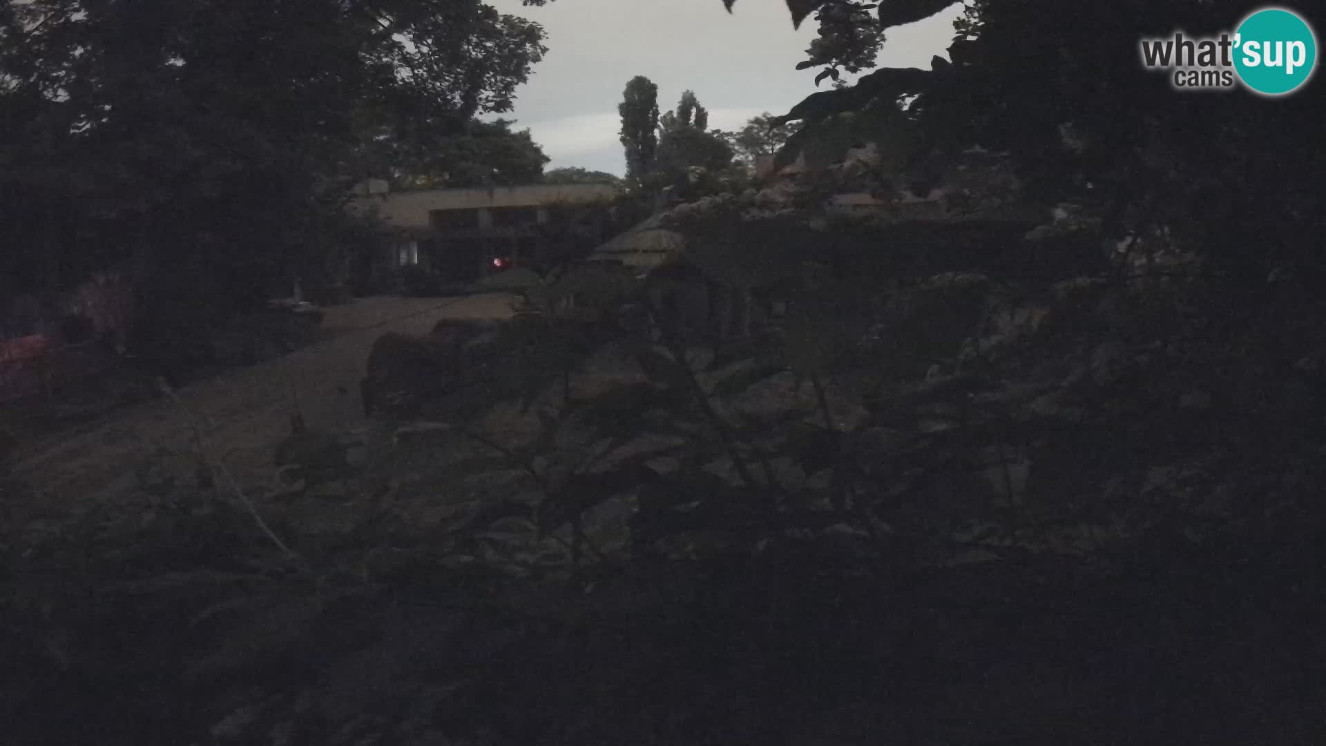 Zoo Zagreb – Erdmännchen