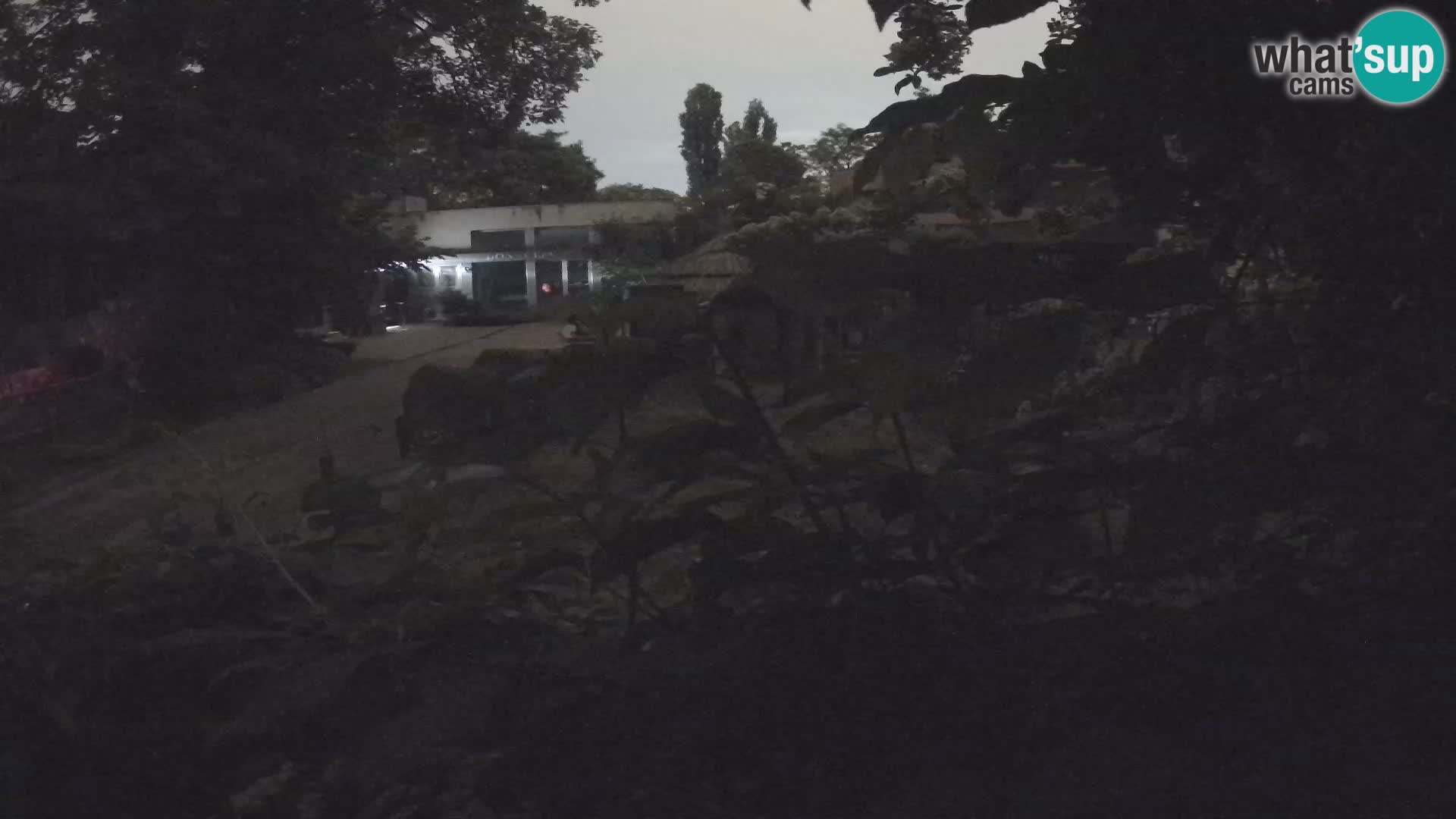 Zoo Zagreb – Erdmännchen