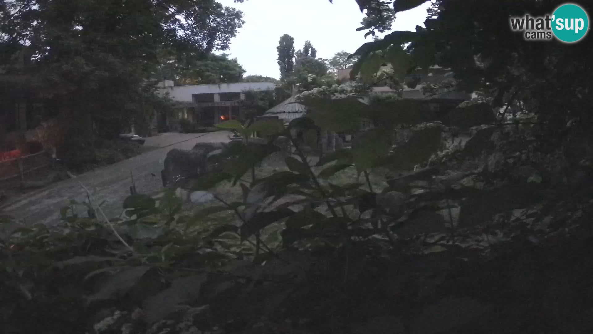 Zoo Zagreb – Erdmännchen