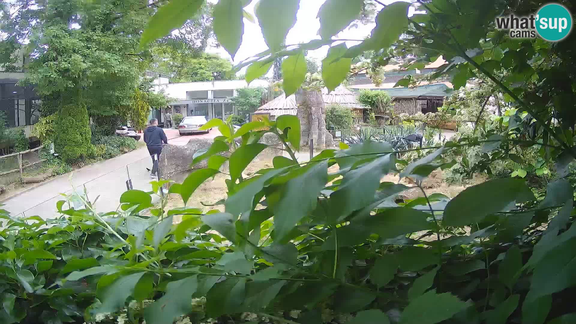 Zoo Zagreb – Erdmännchen