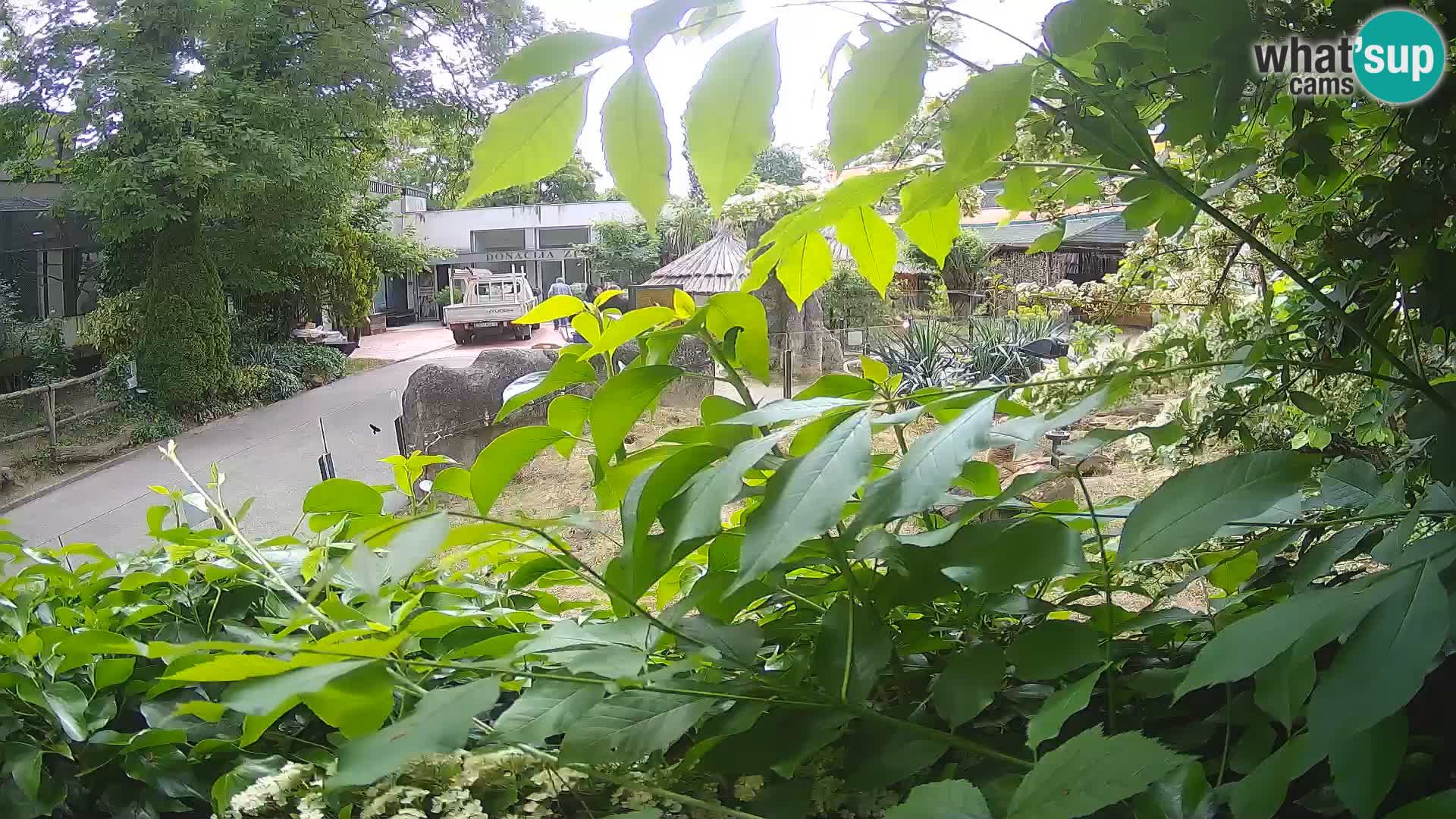 Zoo Zagreb – Erdmännchen
