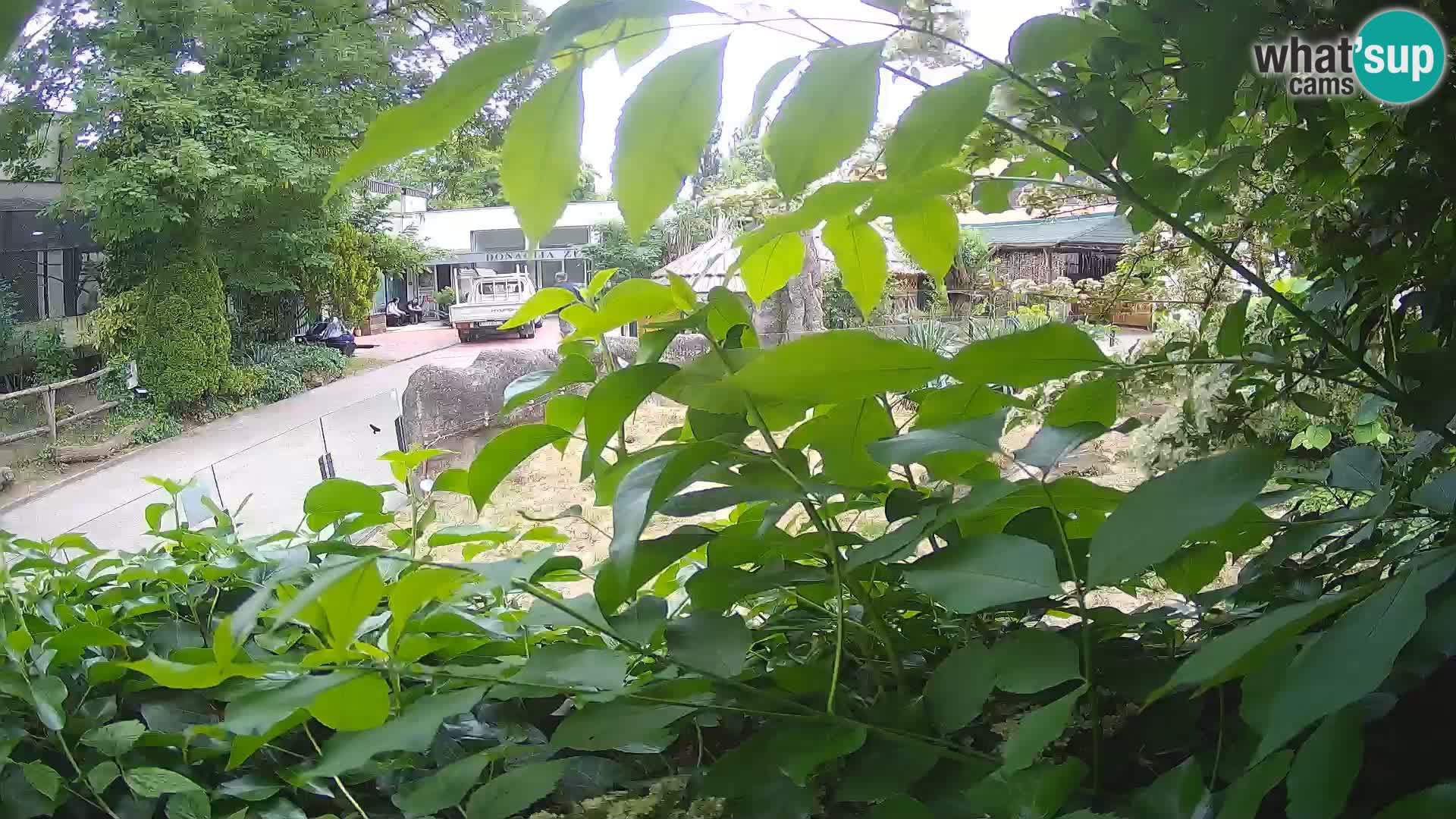 Zoo Zagreb – Erdmännchen