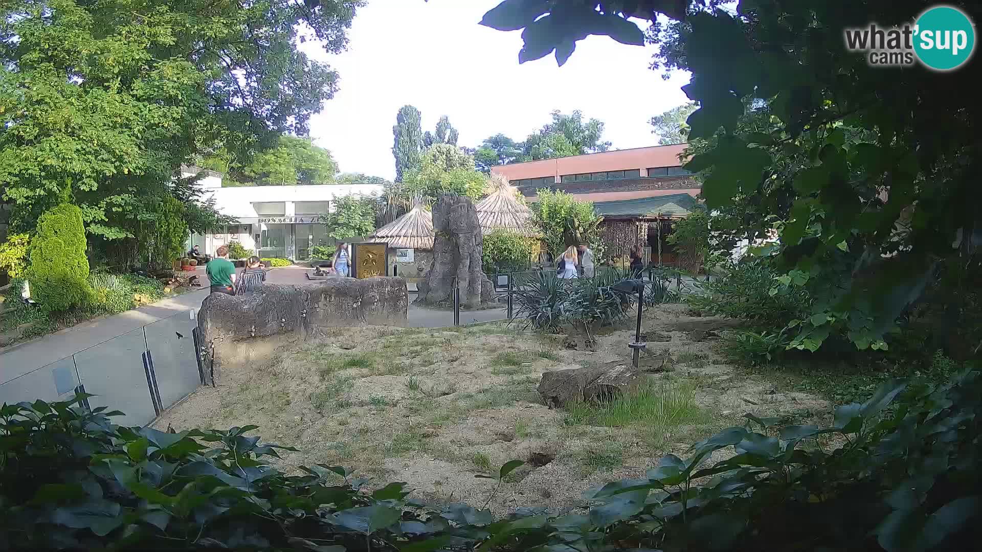 Zoo Zagreb – Erdmännchen