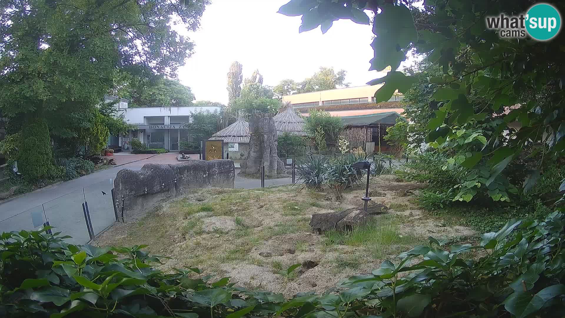 Zoo Zagreb – Erdmännchen