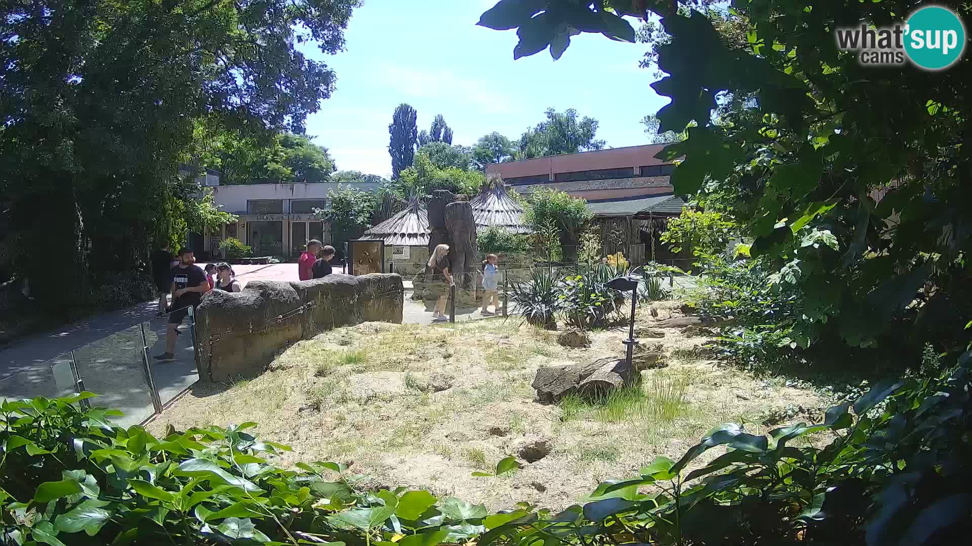 Zoo Zagreb – Erdmännchen