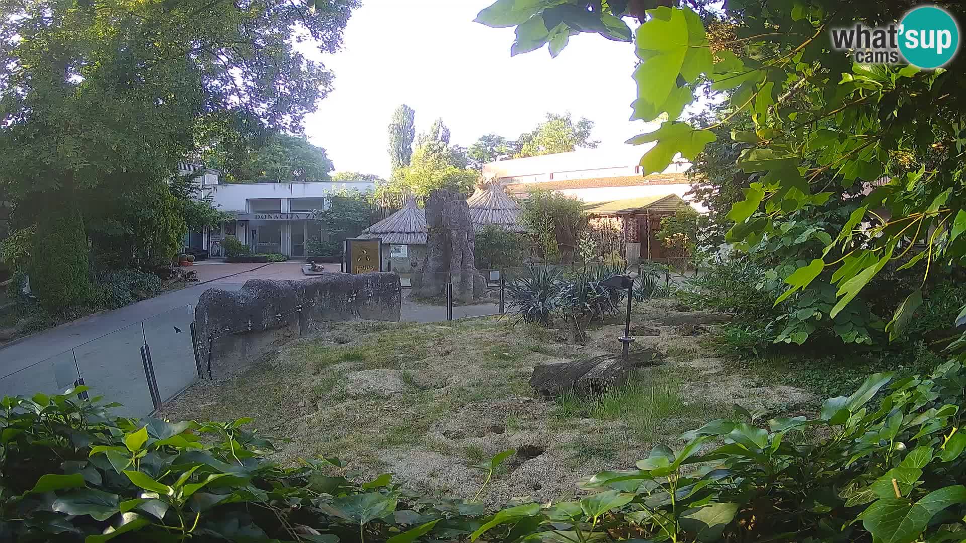 Zoo Zagreb – Surikate