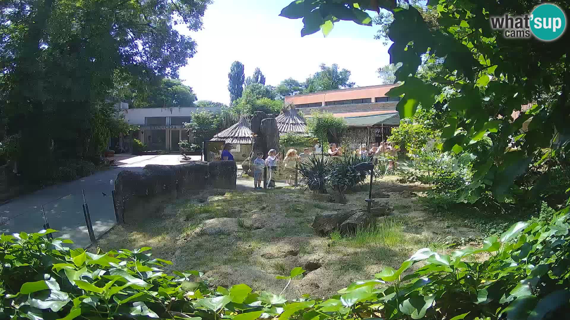 Zoo Zagreb – Erdmännchen