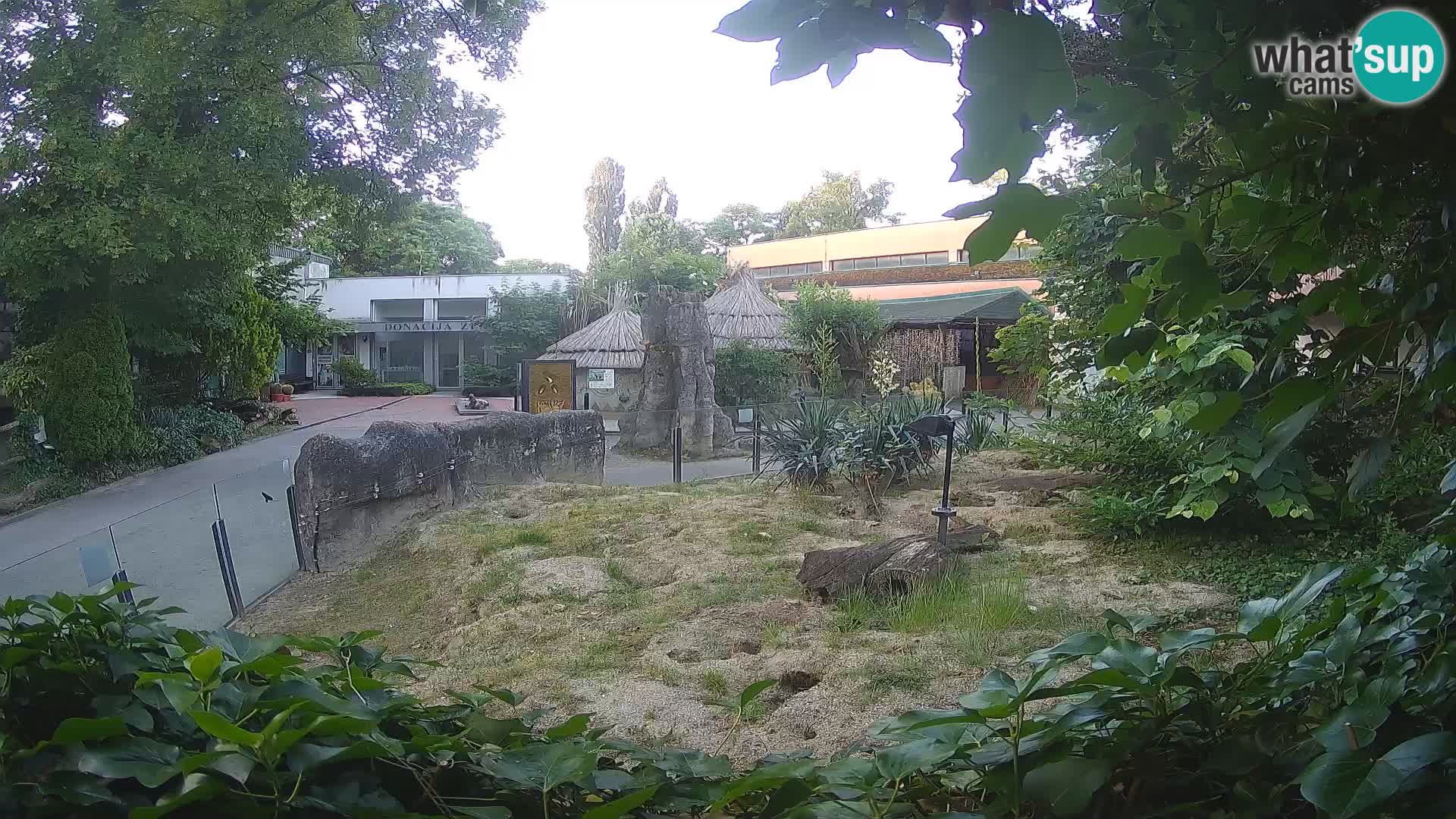 Zoo Zagreb – Merkat