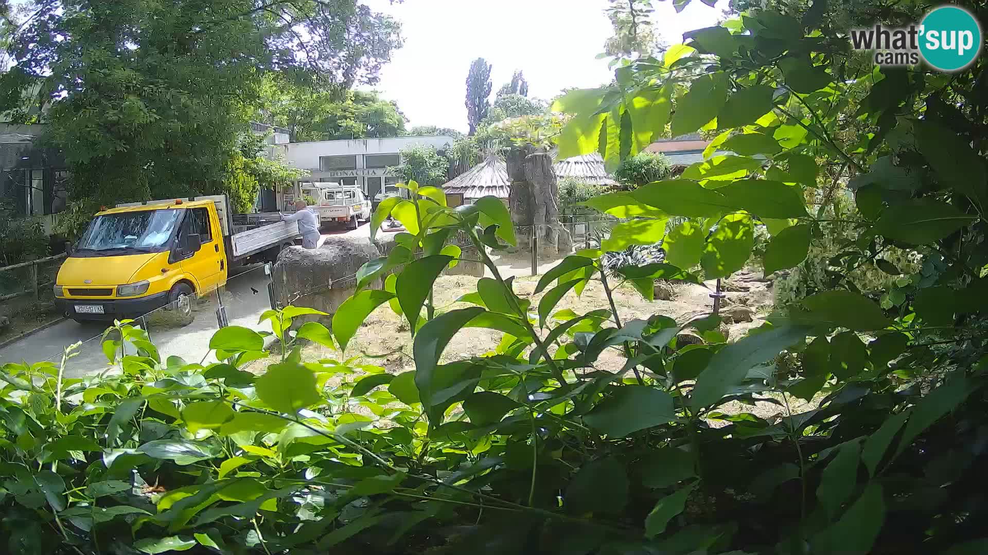 Zoo Zagreb – Surikate