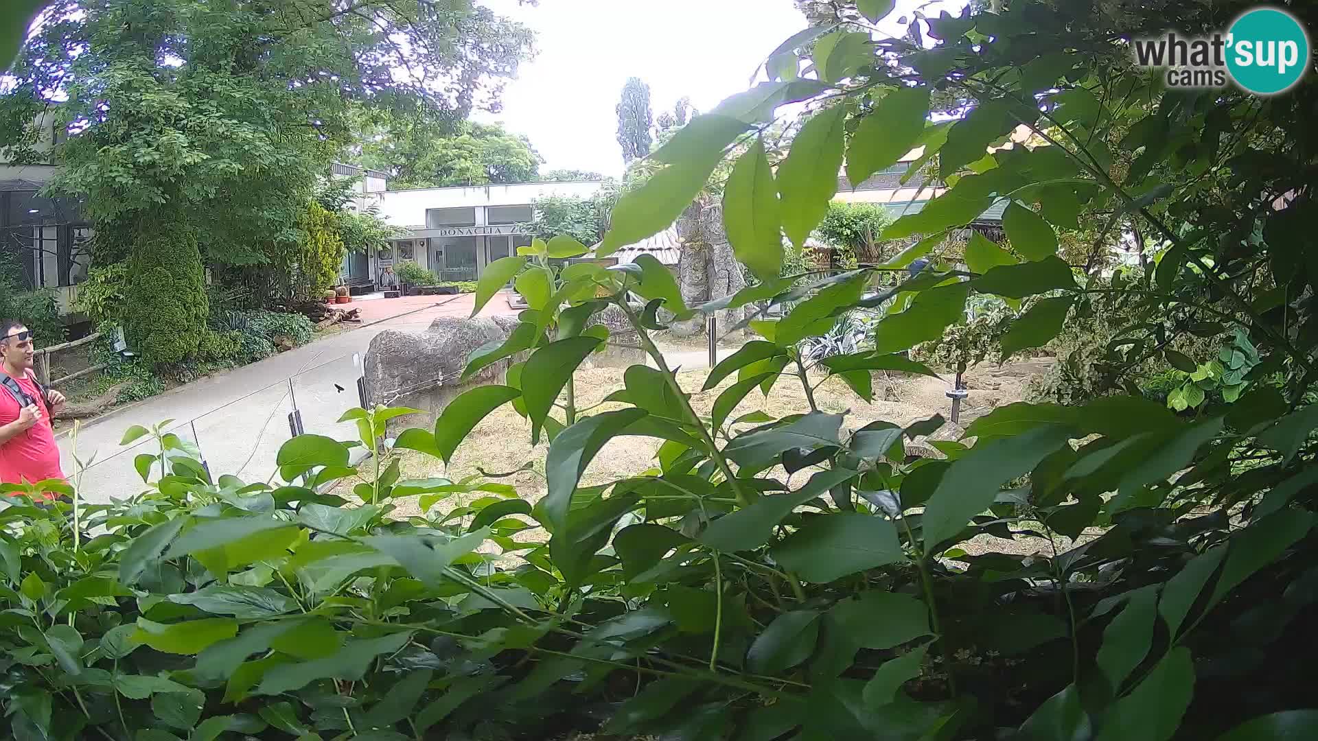 Zoo Zagreb – Erdmännchen