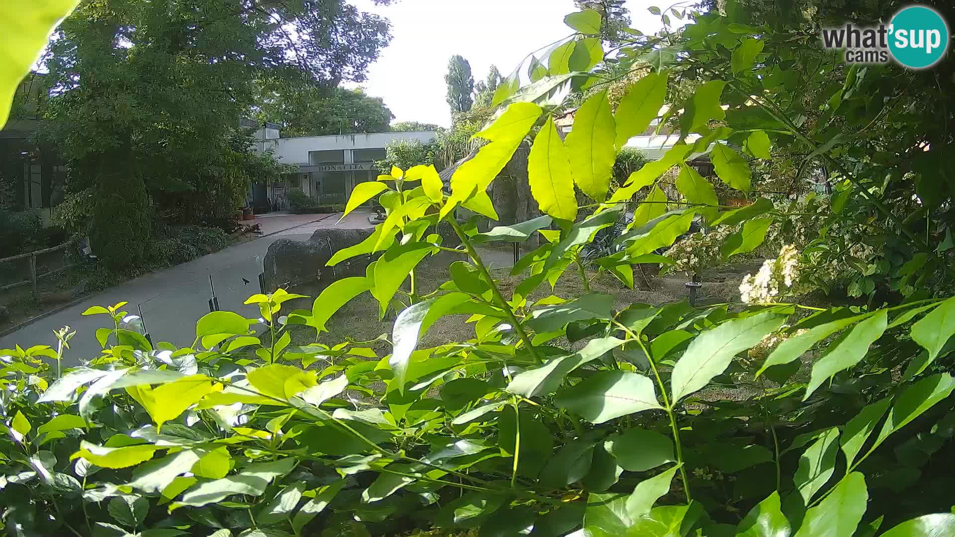 Zoo Zagreb – Erdmännchen