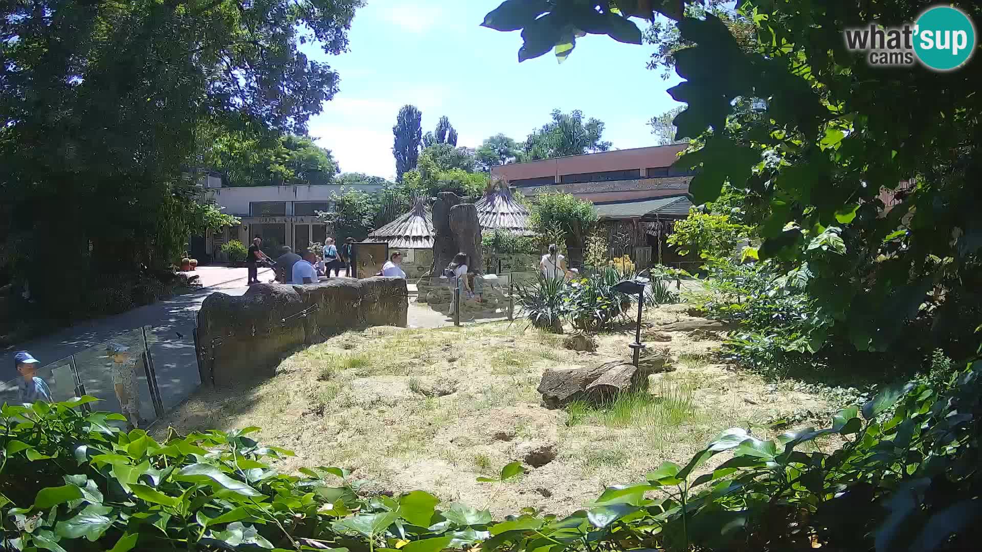 Zoo Zagreb – Merkat