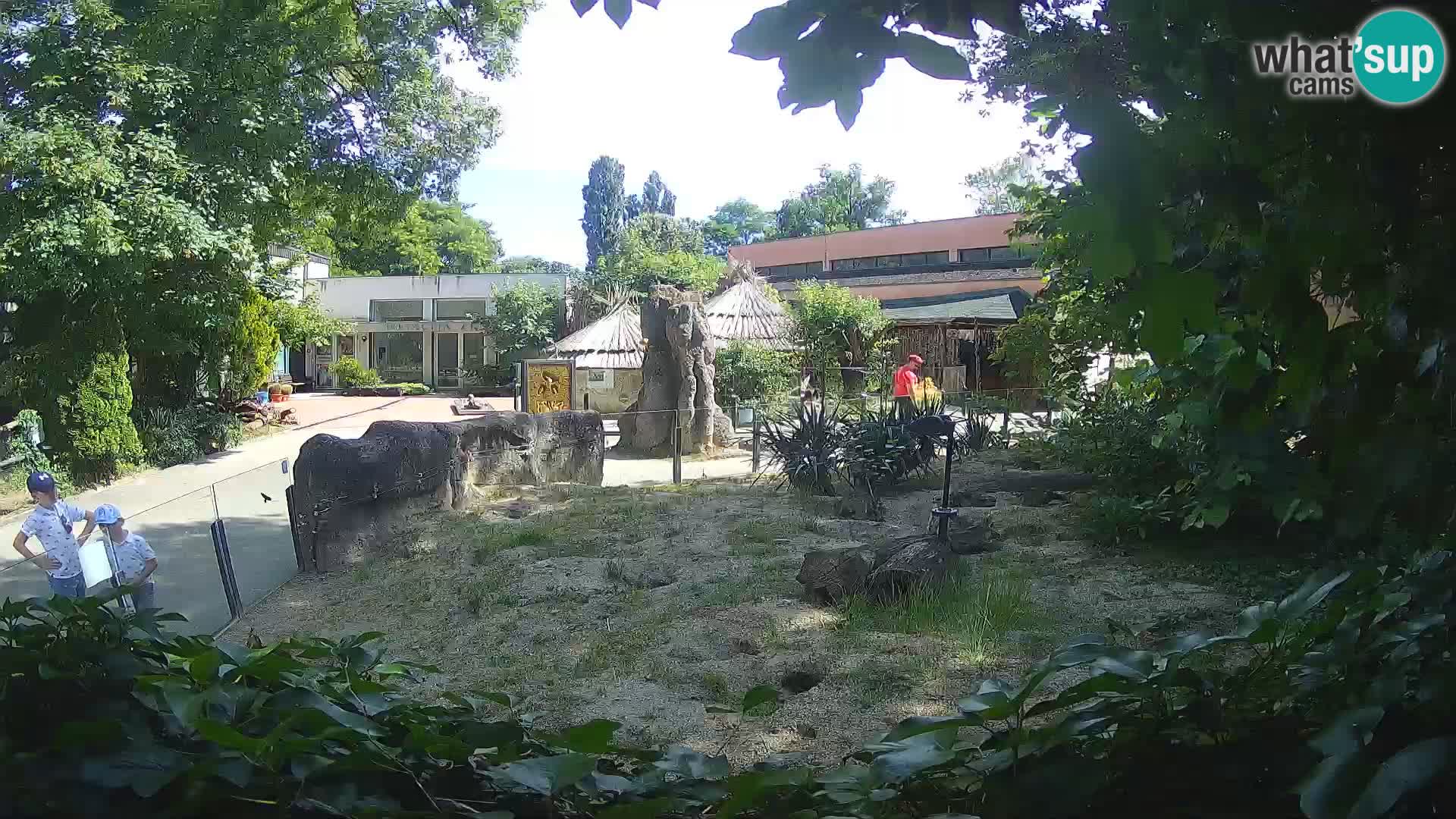 Zoo Zagreb – Surikate