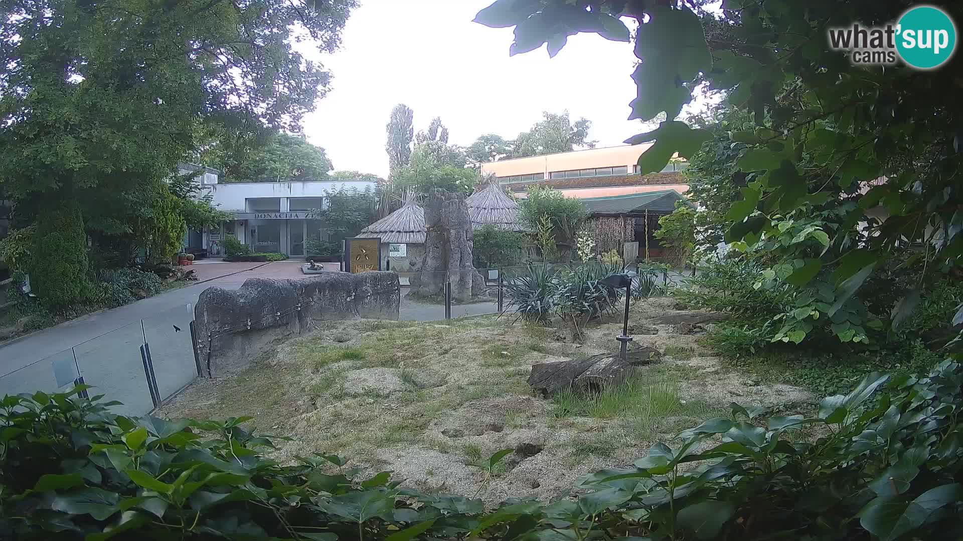 Zoo Zagreb – Erdmännchen