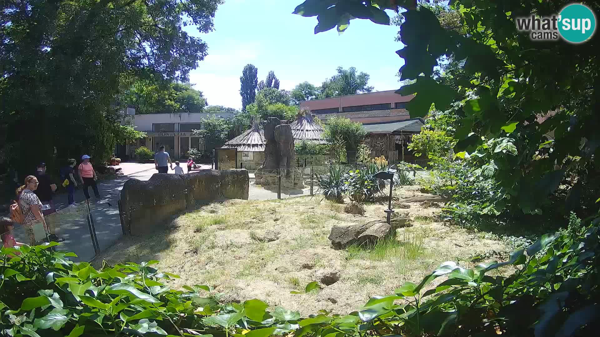 Zoo Zagreb – Merkat
