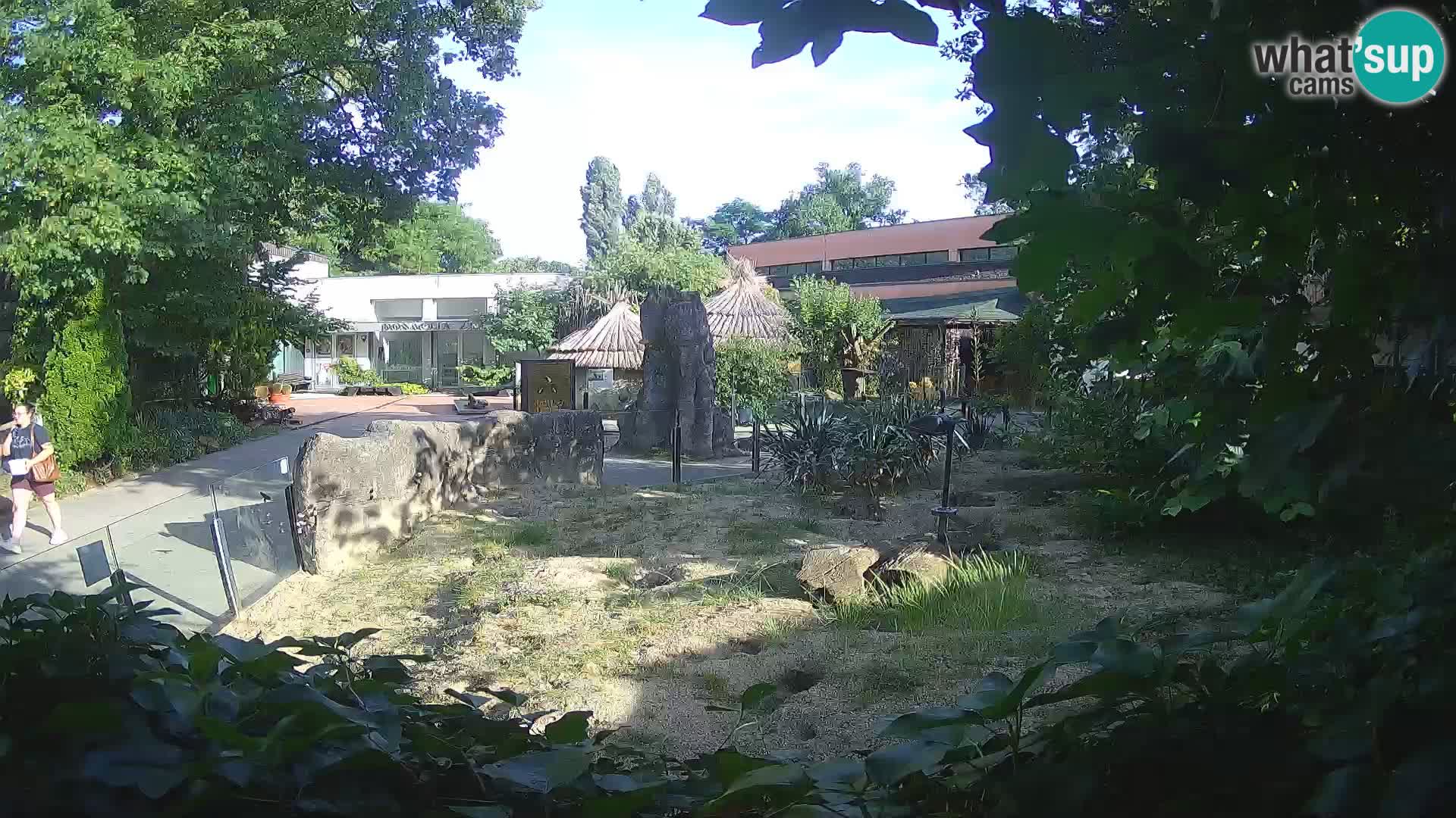 Zoo Zagreb – Erdmännchen