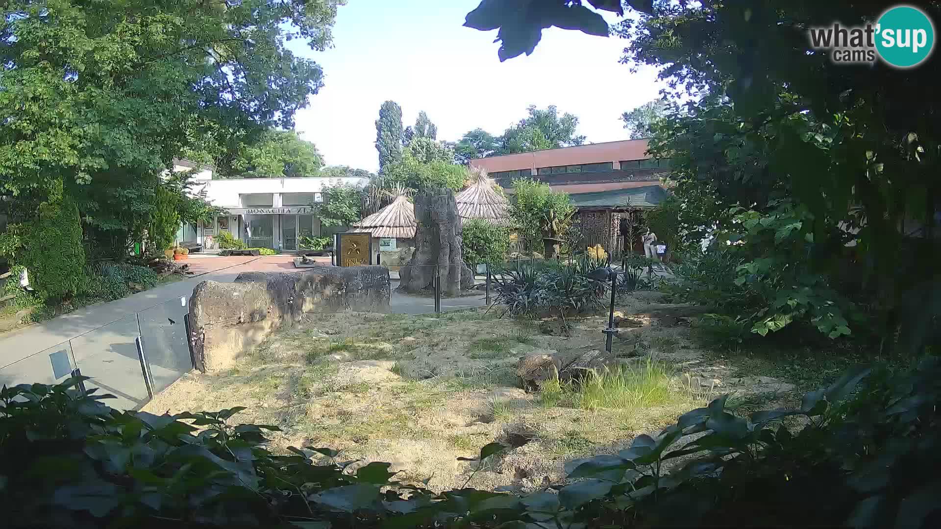 Zoo Zagreb – Erdmännchen