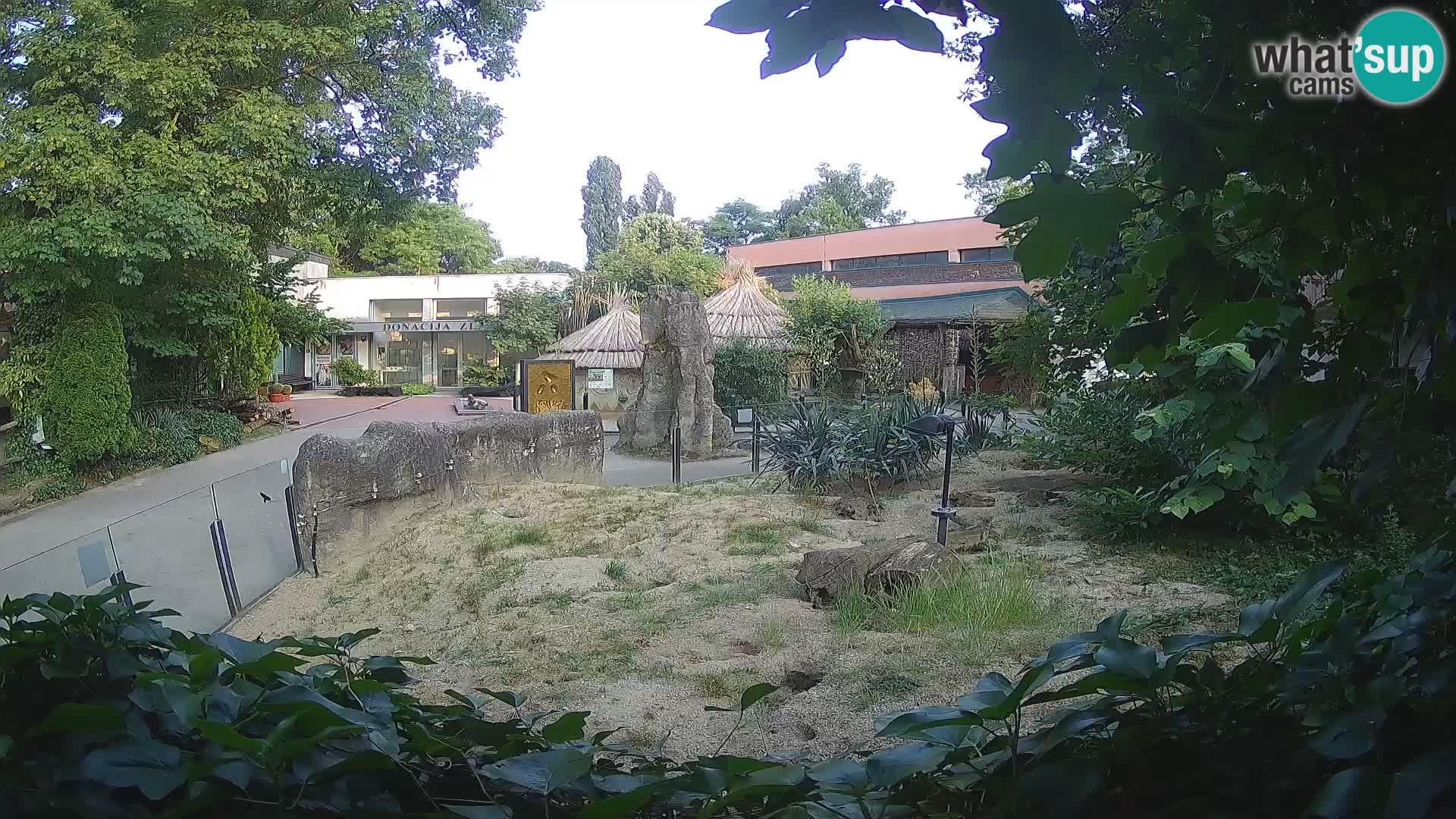 Zoo Zagreb – Erdmännchen