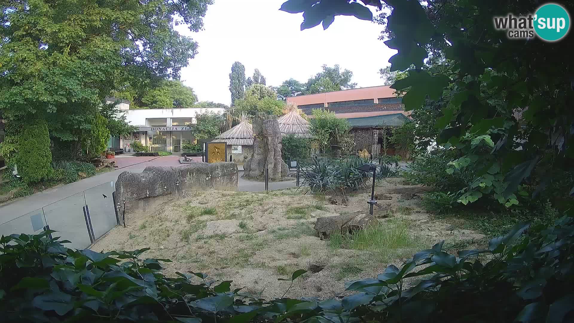 Zoo Zagreb – Surikate