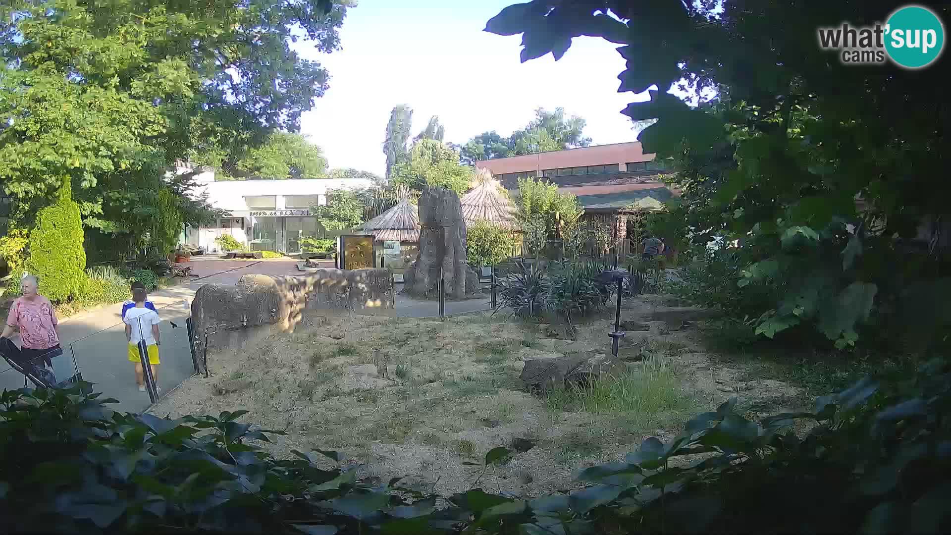 Zoo Zagreb – Erdmännchen