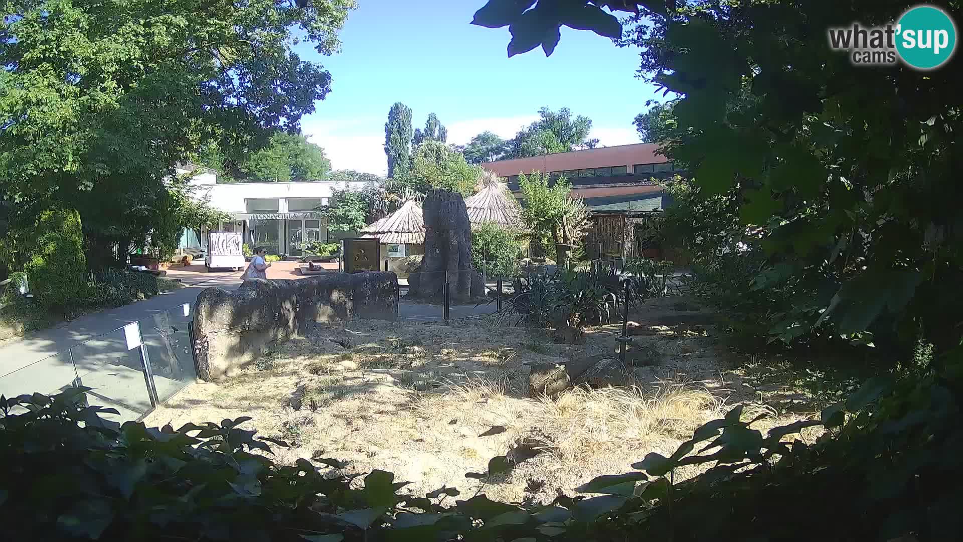 Zoo Zagreb – Erdmännchen