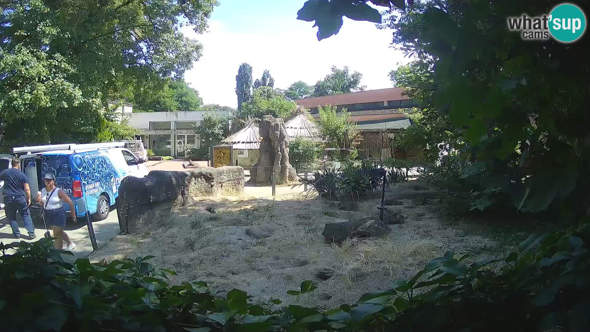 Zoo Zagreb – Merkat