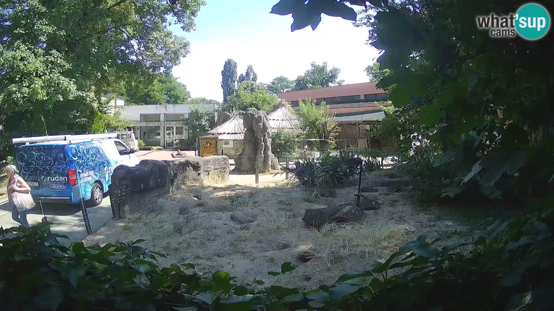 Zoo Zagreb – Surikate