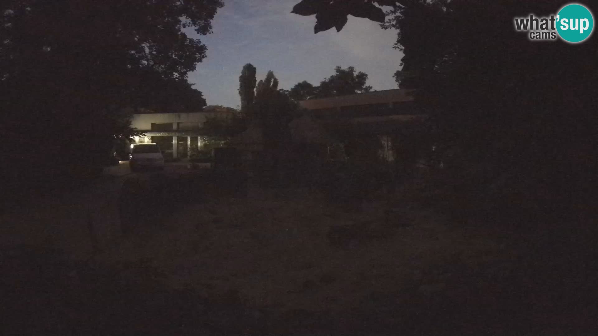 Zoo Zagreb – Surikate