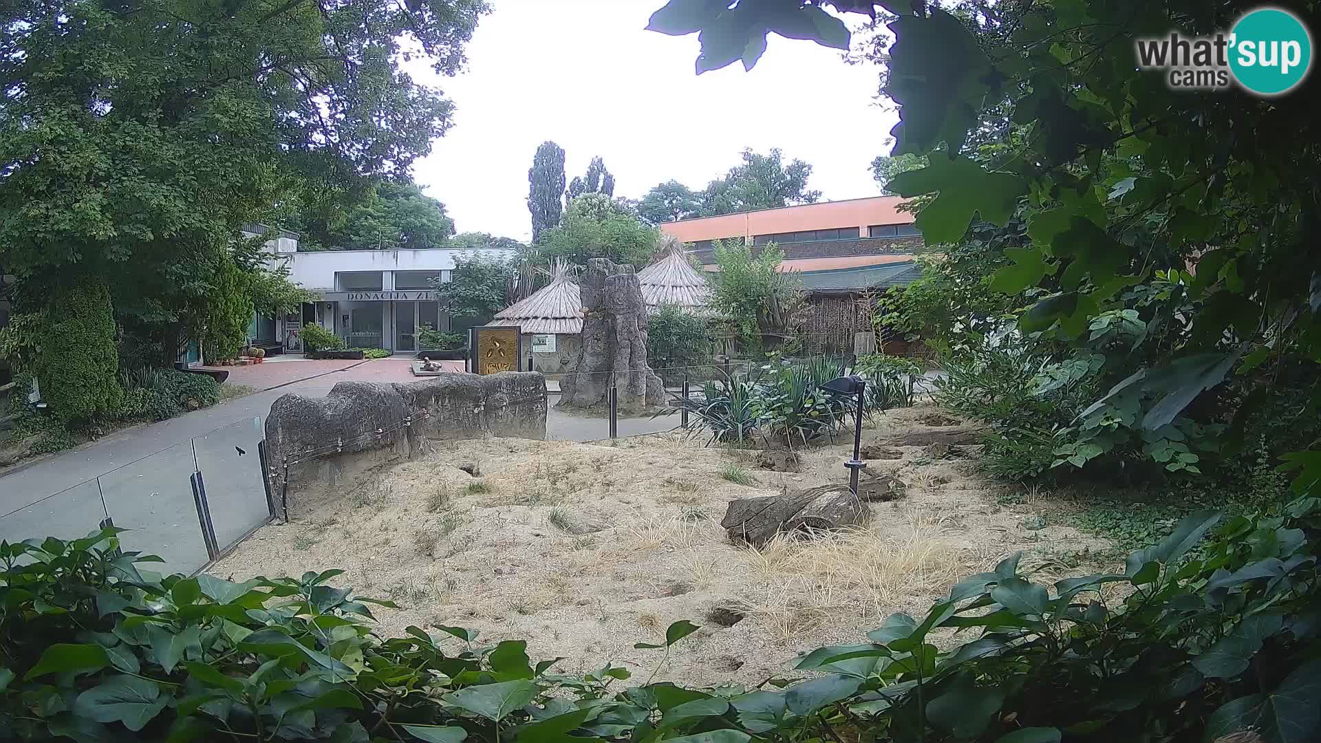 Zoo Zagreb – Erdmännchen