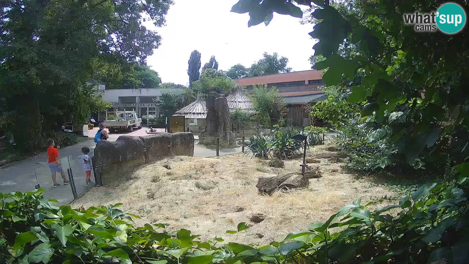 Zoo Zagreb – Erdmännchen