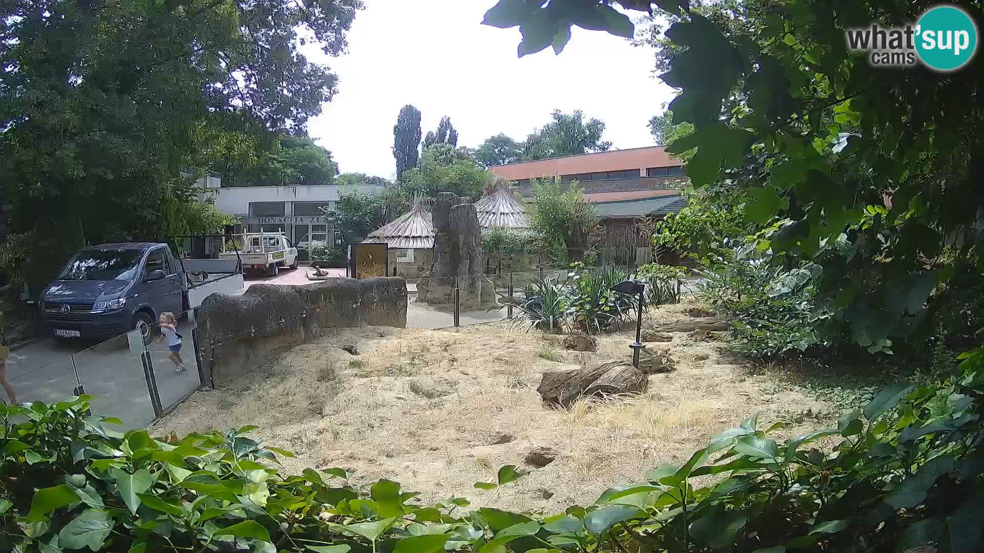 Zoo Zagreb – Merkat