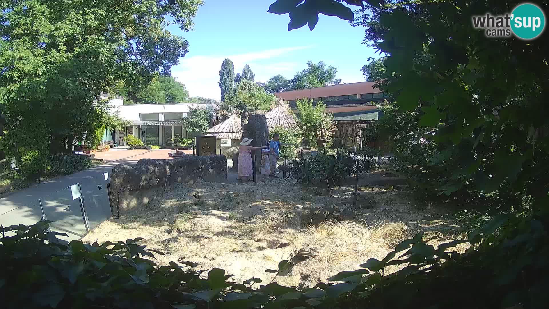 Zoo Zagreb – Suricate