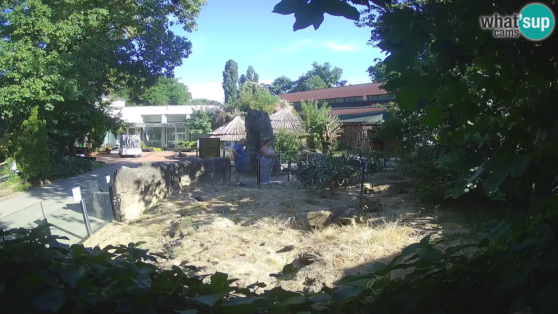 Zoo Zagreb – Erdmännchen
