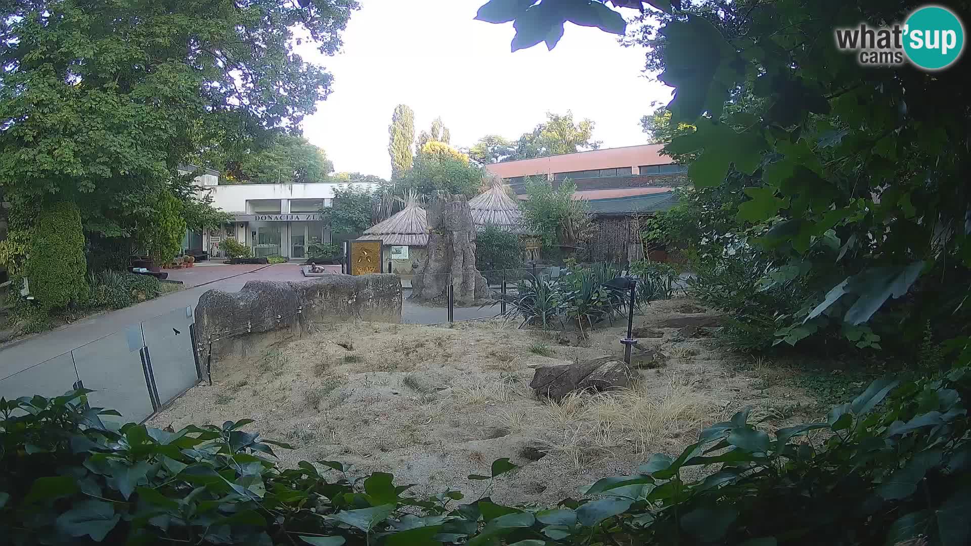 Zoo Zagreb – Erdmännchen