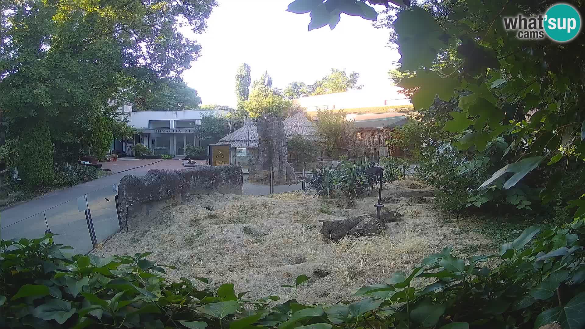 Zoo Zagreb – Surikate