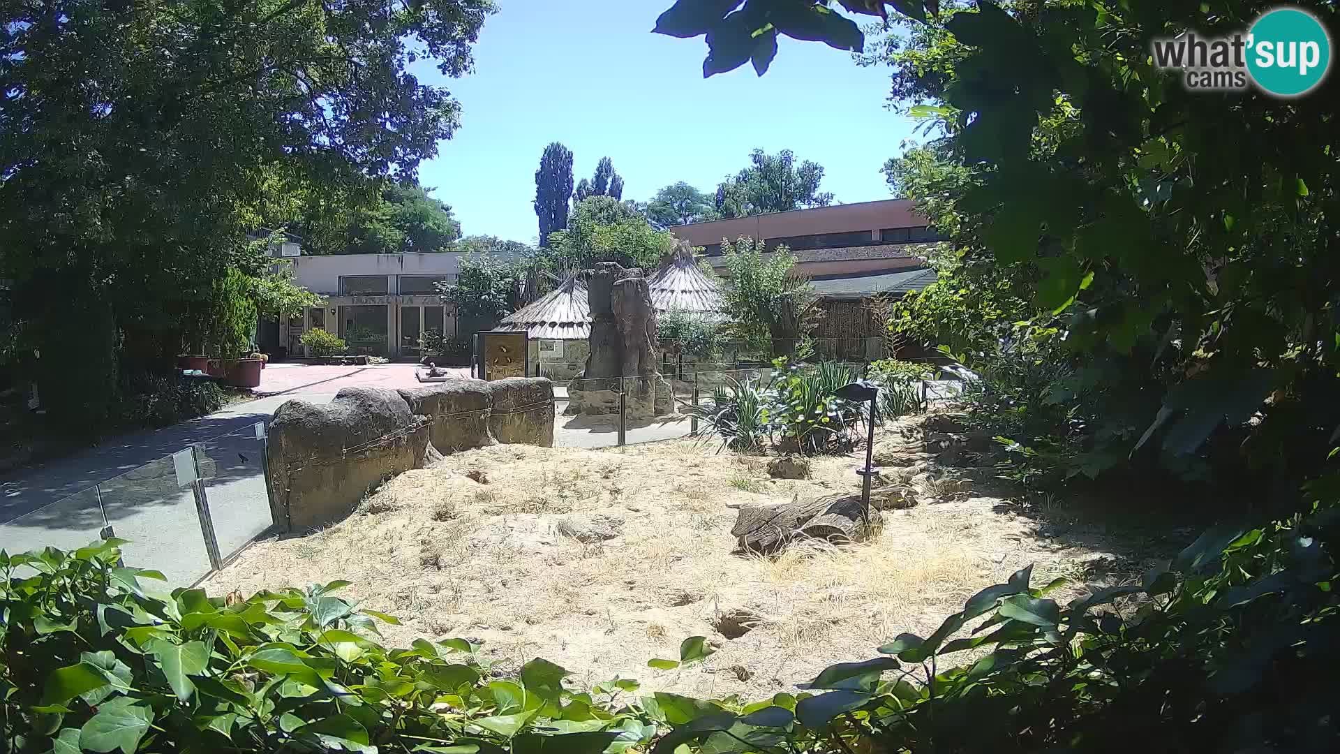 Zoo Zagreb – Erdmännchen
