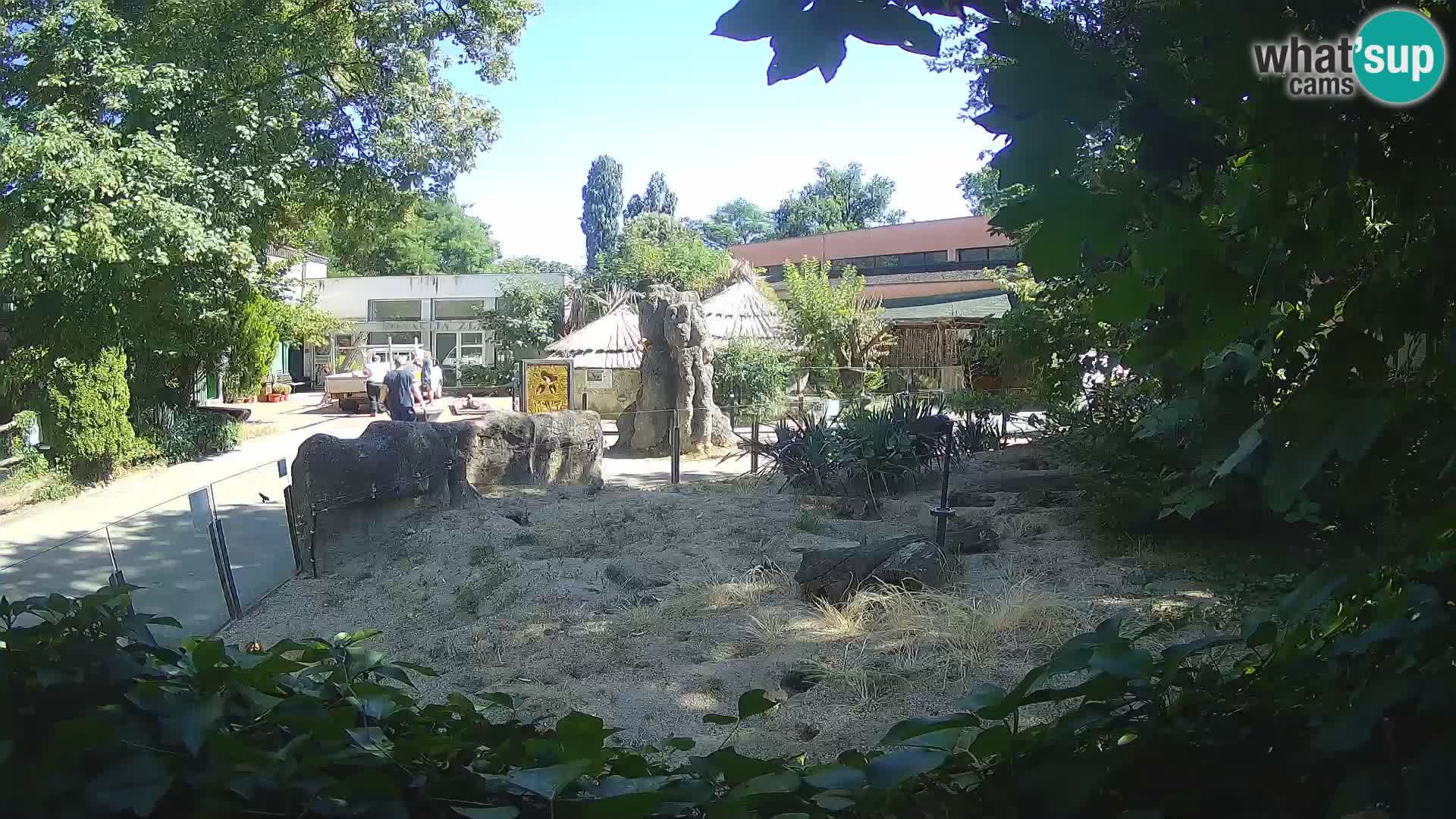 Zoo Zagreb – Erdmännchen