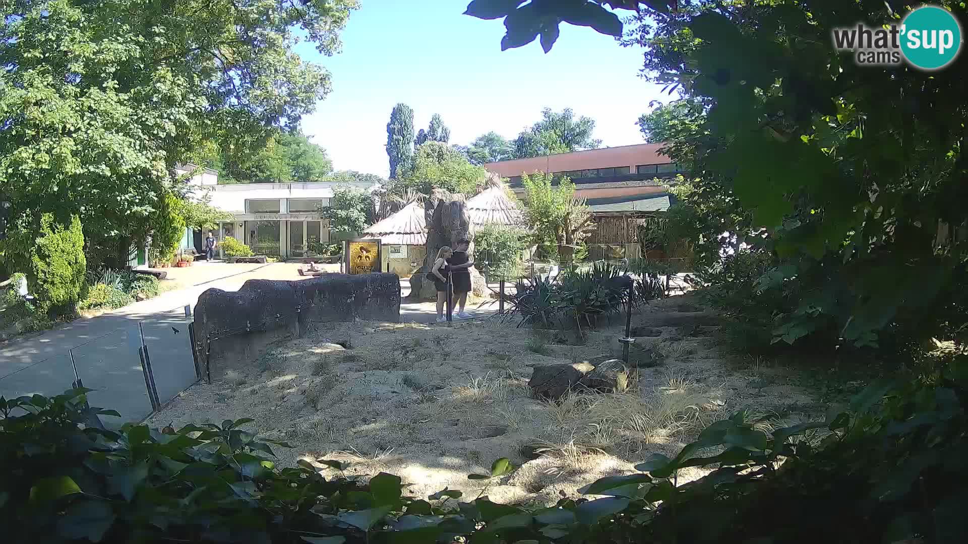 Zoo Zagreb – Erdmännchen