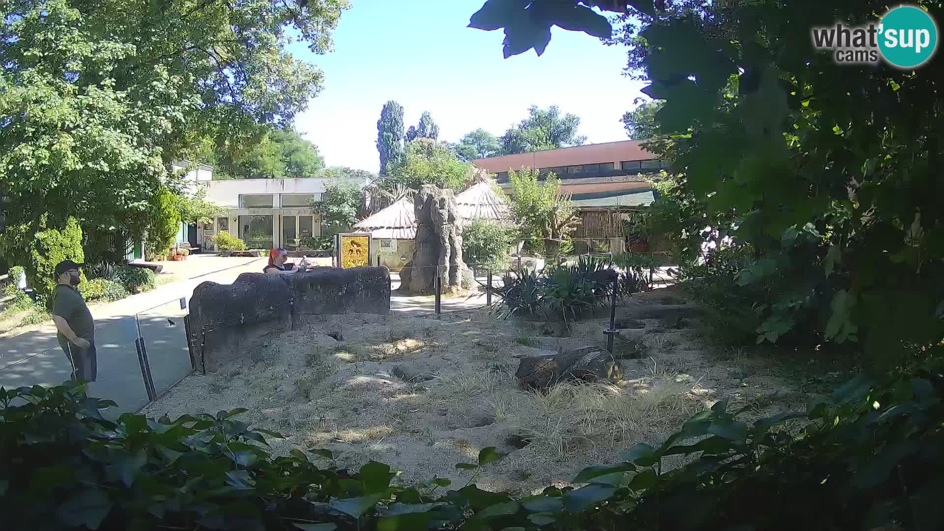 Zoo Zagreb – Erdmännchen