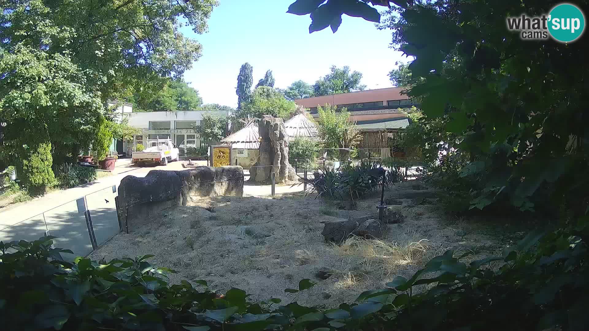 Zoo Zagreb – Erdmännchen