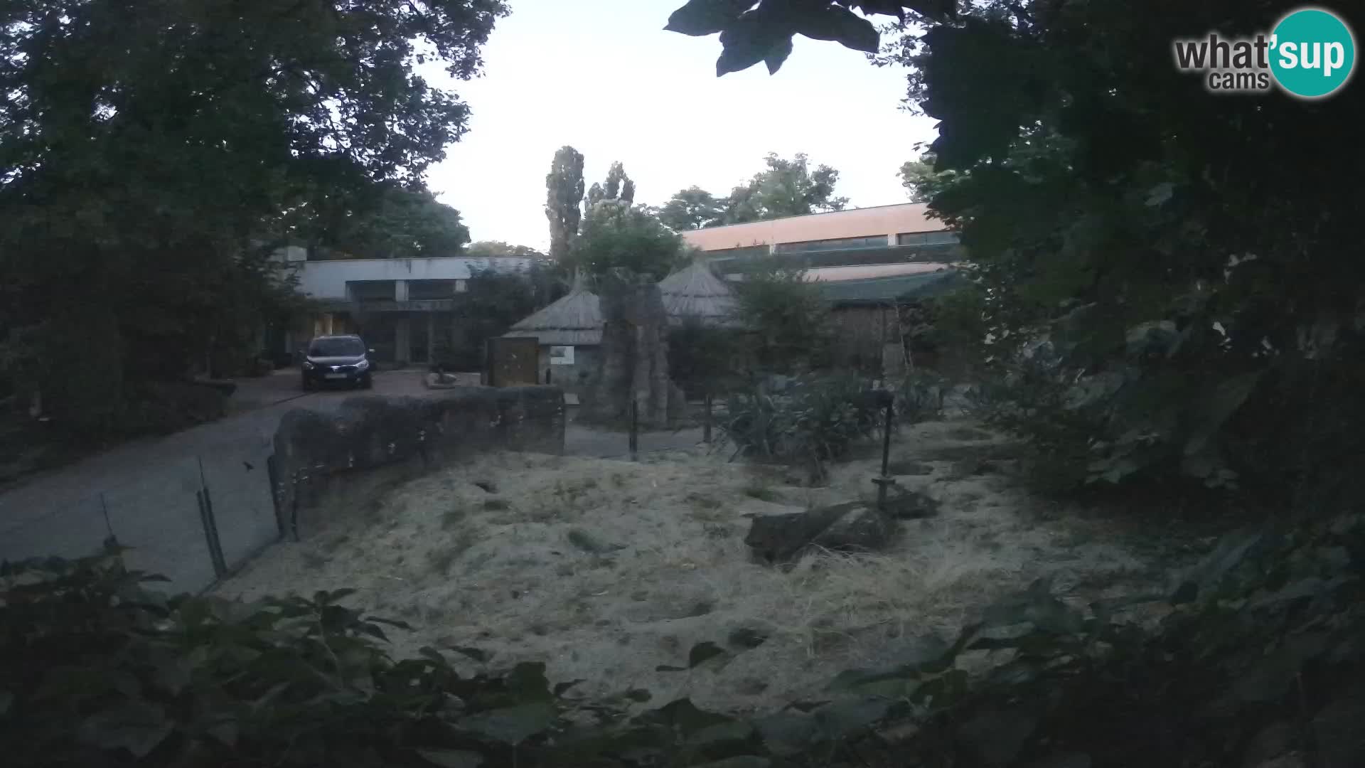 Zoo Zagreb – Erdmännchen