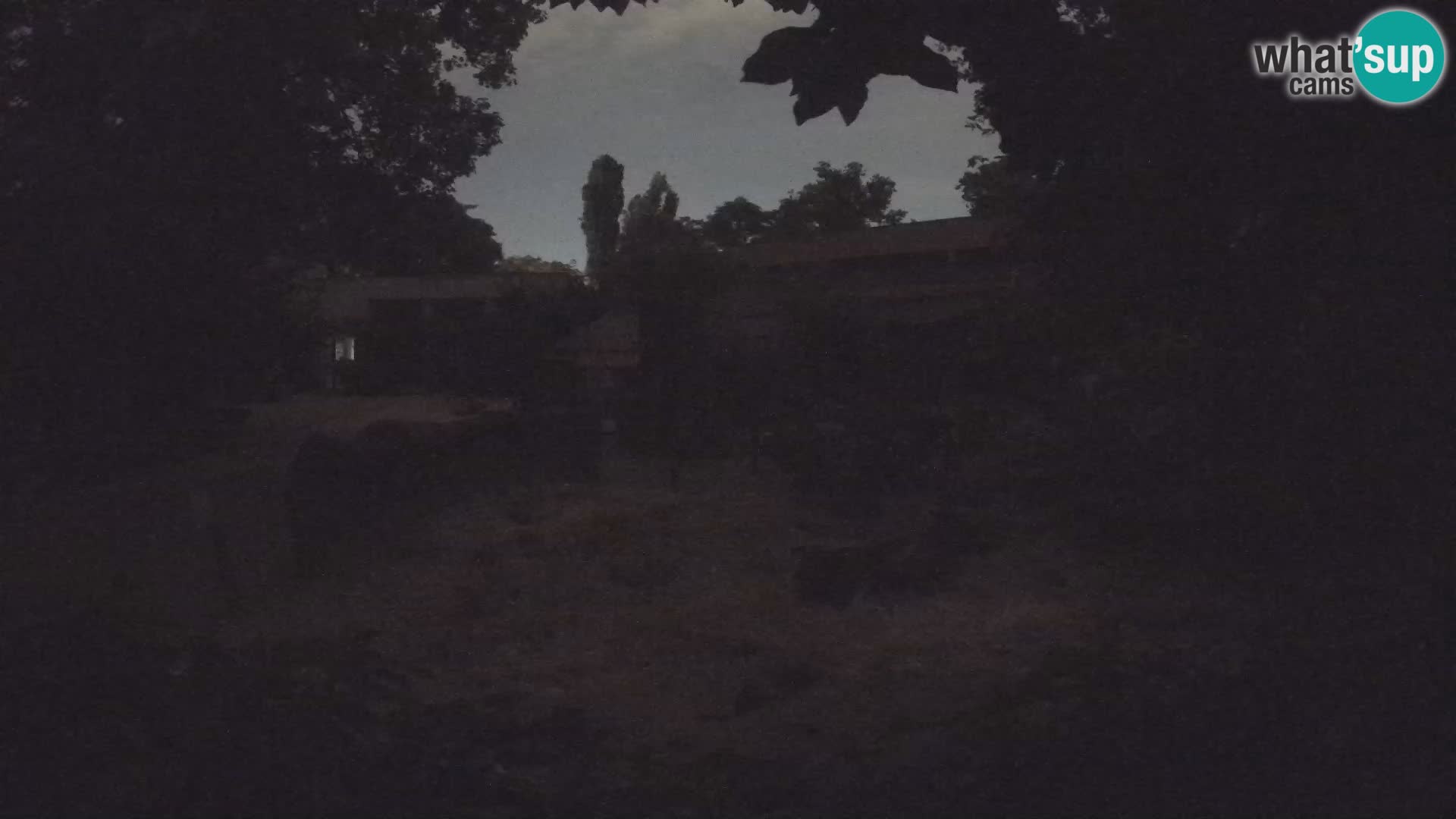 Zoo Zagreb – Erdmännchen