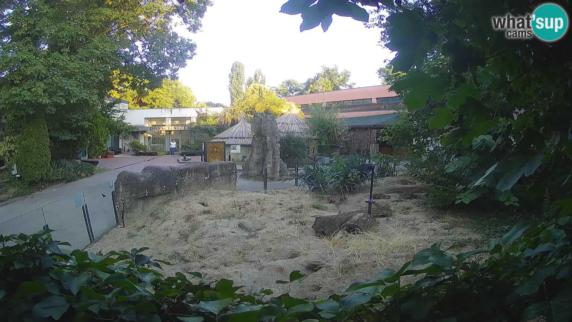 Zoo Zagreb – Suricata