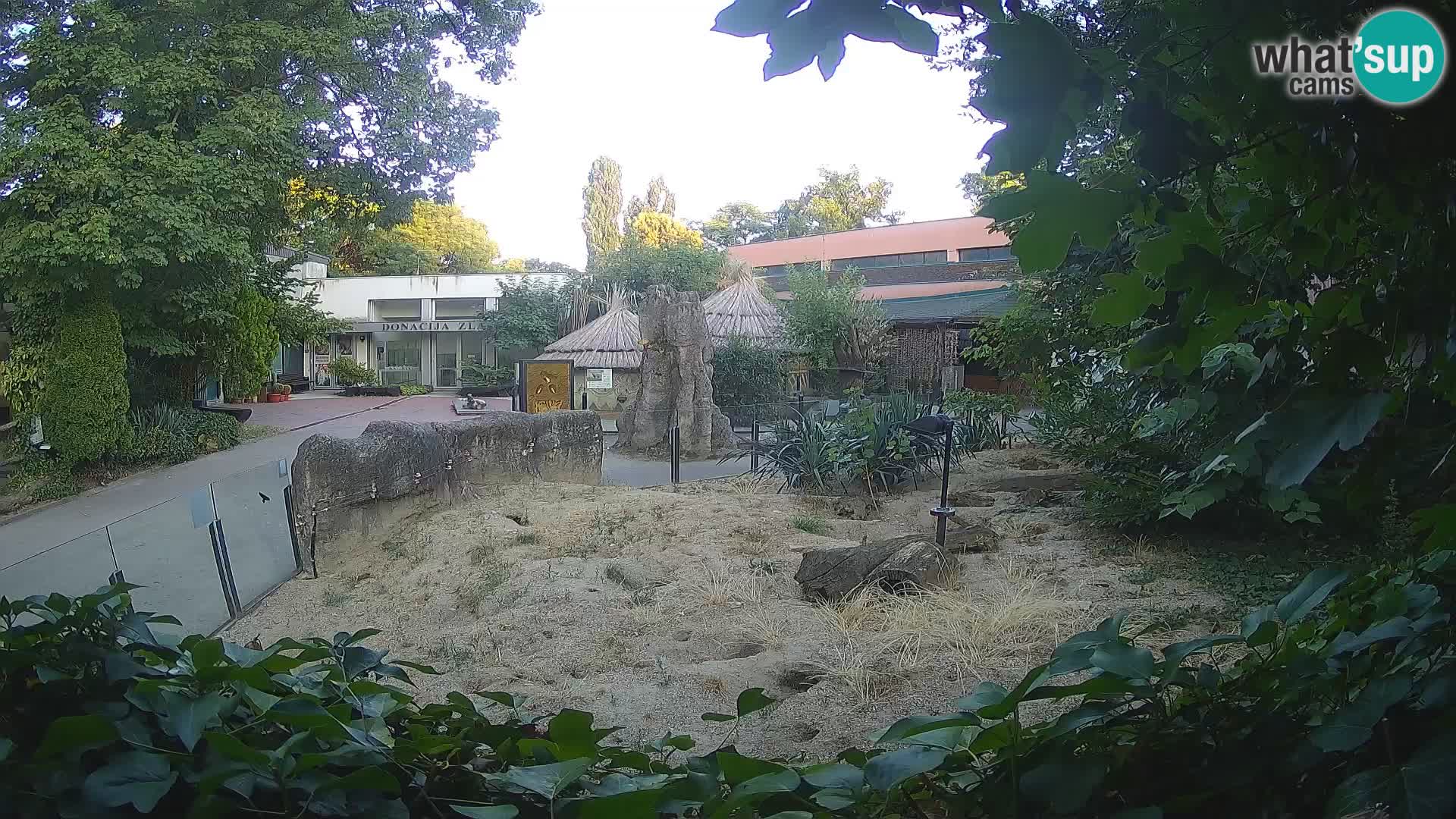 Zoo Zagreb – Surikate