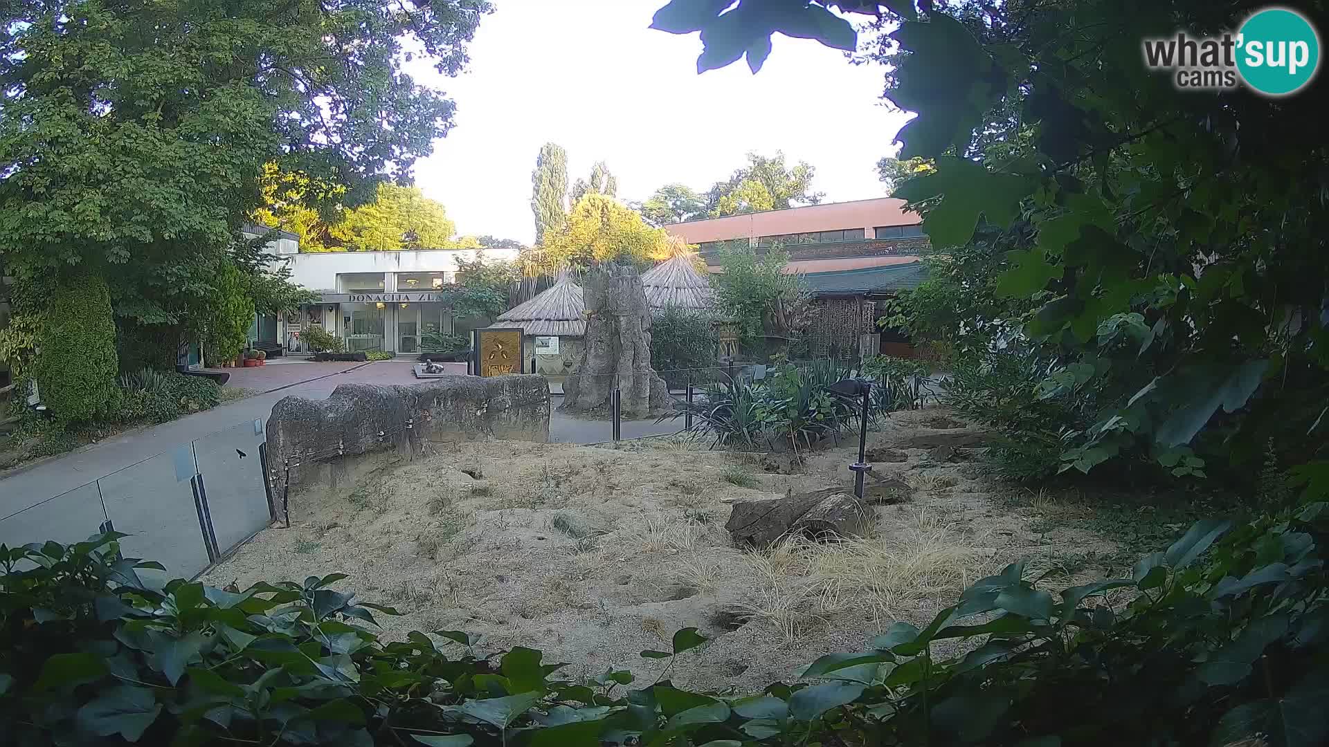 Zoo Zagreb – Suricate