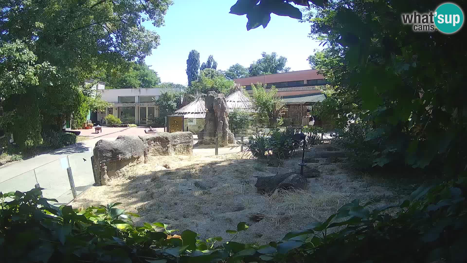 Zoo Zagreb – Surikate
