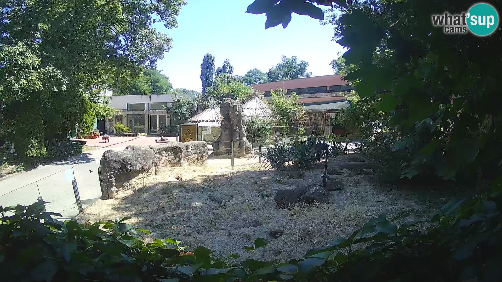 Zoo Zagreb – Erdmännchen