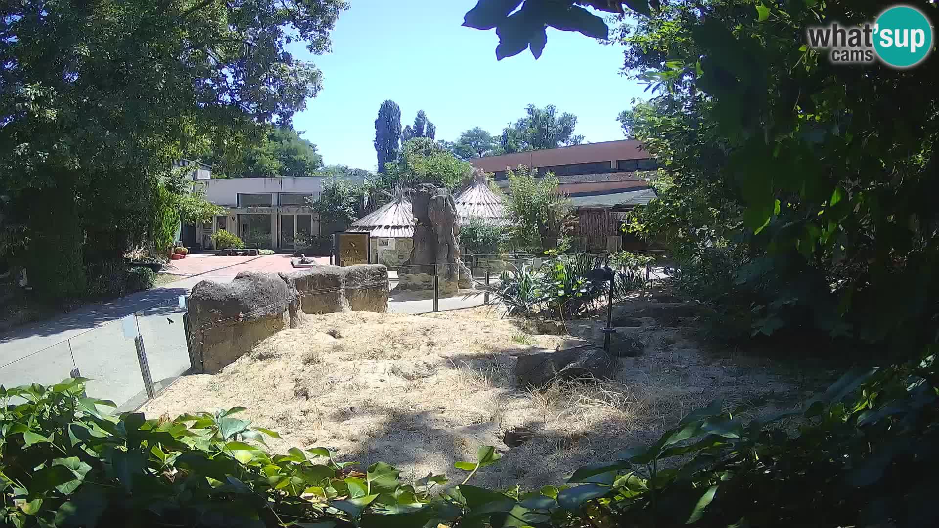 Zoo Zagreb – Merkat